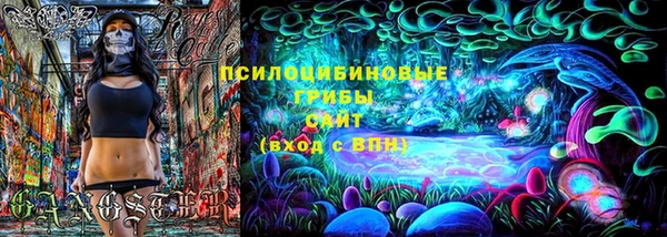 прущая мука Абаза